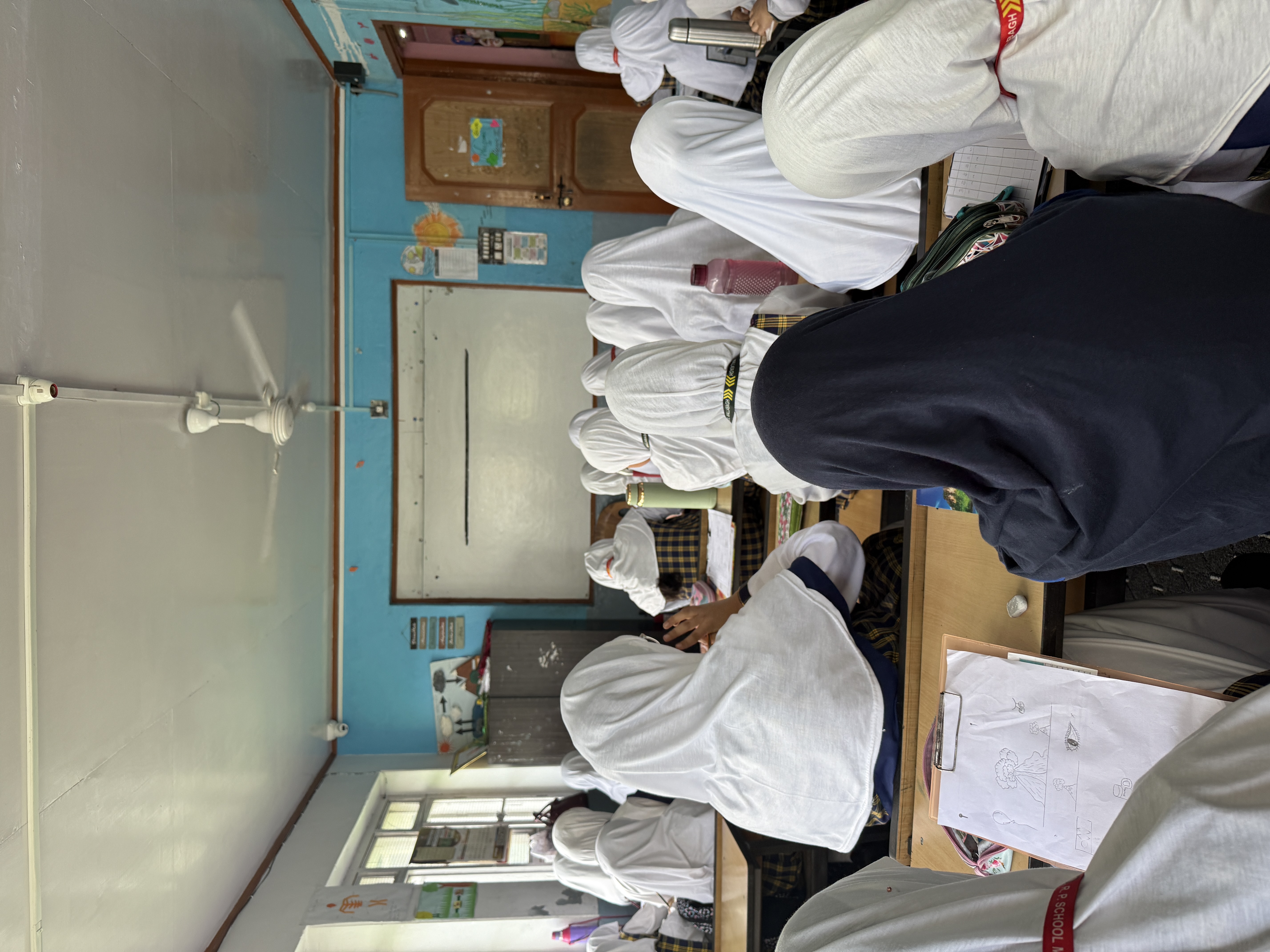 Middle school students